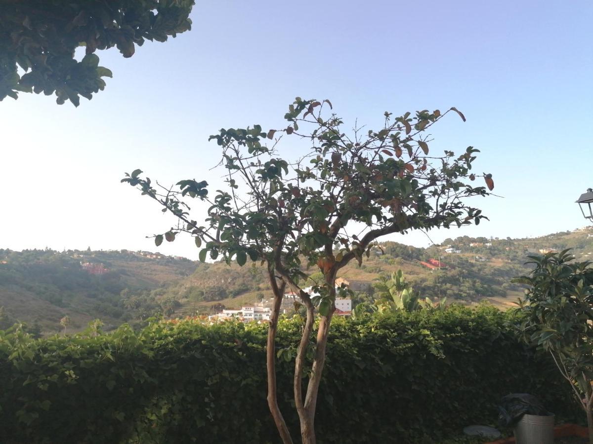 Sweet Dreams Apartment Santa Brigida  Bagian luar foto